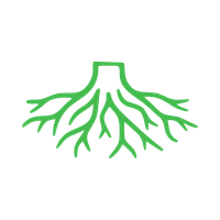 Tree roots icon